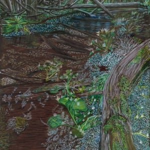 The Swamp by Barbara J Zipperer
