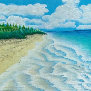 Secret Beach by Barbara J Zipperer