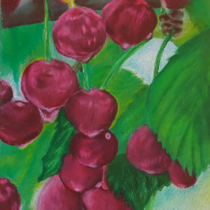 Door County Cherries by Barbara J Zipperer 