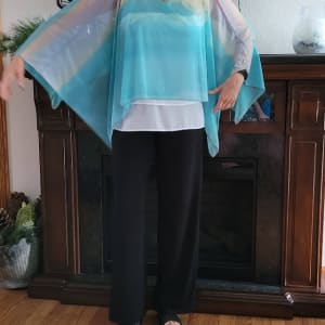 Claudia Shawl - Crescent Beach by Barbara J Zipperer