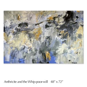 Anthracite and the Whip-poor-will by Jane Burton 