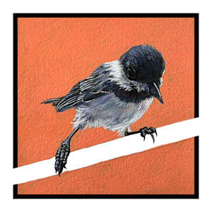 Chickadee #1 by Paige Wallis
