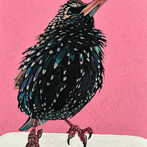 Starling #2 by Paige Wallis, Image 1.