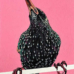 Starling #3 by Paige Wallis, Image 1.