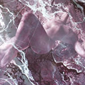Emergence by John Whytock - Oak Rose Studio