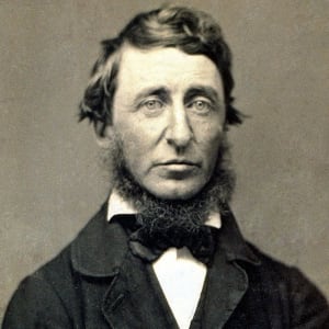 Thoreau bearded relief Work in Progress 