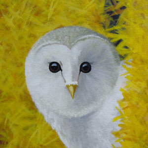 Barn Owl by Jane Thuss 