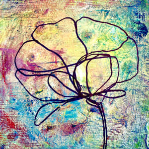 First Light's Embrace by Chelsea Davis