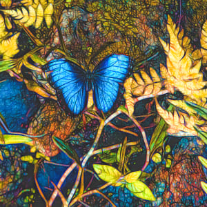 Butterfly Love by Rochelle Berman