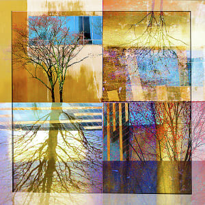 Tree Reflection by Rochelle Berman