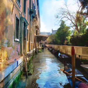 Venice Beauty by Rochelle Berman