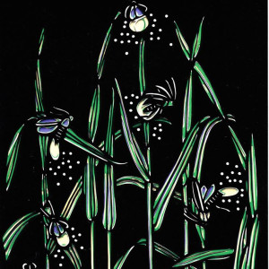 Fireflies by Ellen Sandbeck