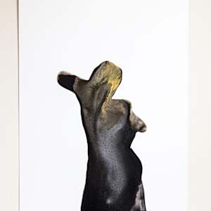 Strike Rich by Katherine Duclos , Image 2.