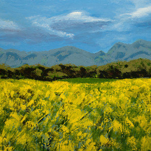 Blue Ridge Springtime by Jane D. Steelman
