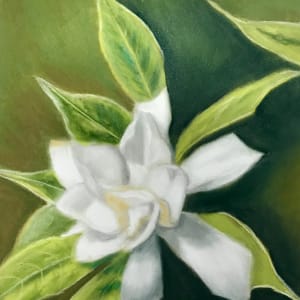 Gardenia by Jane D. Steelman