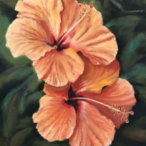 My Hibiscus by Jane D. Steelman