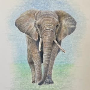 Mr. Majestic by Jane D. Steelman