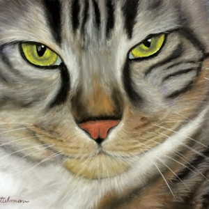 Charlie by Jane D. Steelman