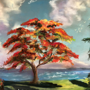 Royal Poinciana Tree by Lisa Rose Fine Art