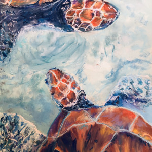 Turtle Rendevous by Lisa Rose Fine Art