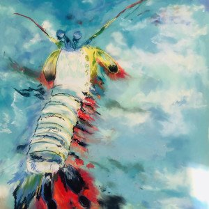 Mantis Shrimp by Lisa Rose Fine Art
