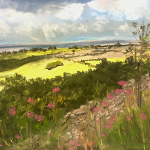 Irish Fields- County Cork by Lisa Rose Fine Art