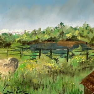 Montauk Third House Nature Center by Lisa Rose Fine Art