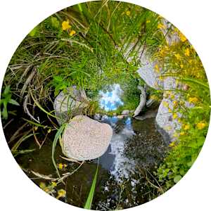 Sancutary Reflection #1 by Syd Moen