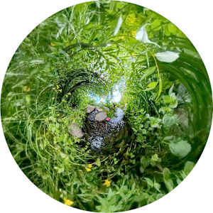 Sanctuary Reflection #2 by Syd Moen