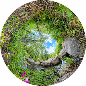 Sanctuary Reflection #3 by Syd Moen