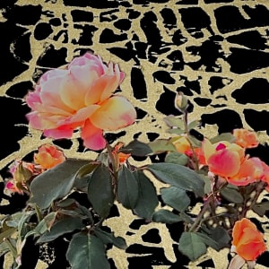 Roses for Eva by Debra Sutherland Core  Fine Art
