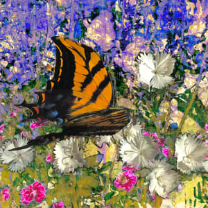 Butterfly Series by Debra Sutherland Core  Fine Art 