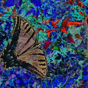 Butterfly Series II by Debra Sutherland Core  Fine Art 