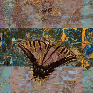 Butterfly Series II by Debra Sutherland Core  Fine Art 