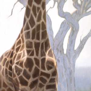 His Highness by Anna Rose Bain