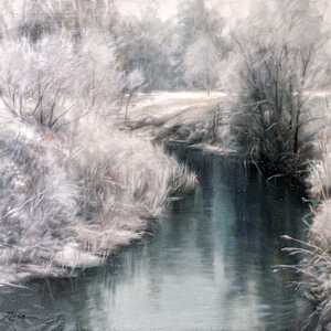 Frosted Morning by Anna Rose Bain