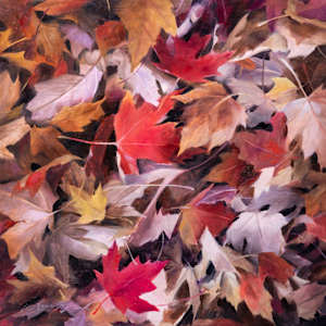 Leaves II by Anna Rose Bain