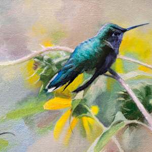 Perched by Anna Rose Bain