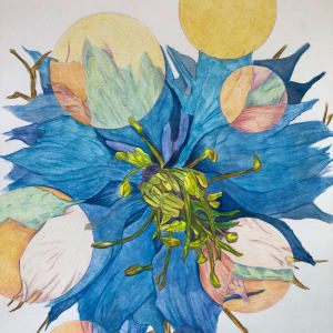 Nigella 4 by Deborah A. Berlin