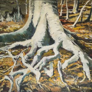 Beech Roots by Julie and Ken Girardini