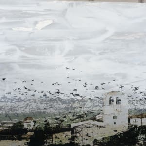 Birds Over Assisi by Julie and Ken Girardini 