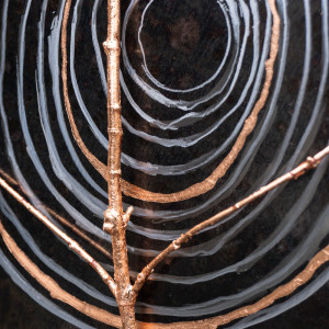 Growth Rings with Branch by Julie and Ken Girardini 