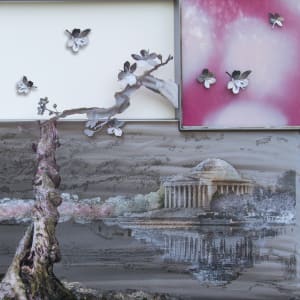 Jefferson Memorial and Cherry Blossoms by Julie and Ken Girardini  Image: detail
