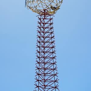 Where Have All the Birds Gone? by Marguerite Elliot