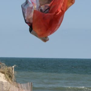 CoLorfields Flying by aNna rybaT