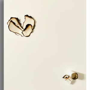 BURNT EDGES 004 by Denise Giordano 