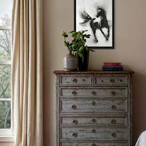 THE GOLDEN HOOF - Topaz by Denise Giordano