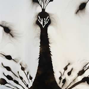 LEO the PEACOCK by Denise Giordano 