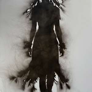 DIPLOMATIC PEACEMAKER by Denise Giordano 