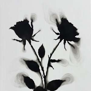 PARTNERSHIP & UNITY by Denise Giordano 